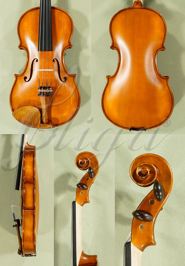 Antiqued 1/2 Student GLORIA 2 Violin  * Code: D0390