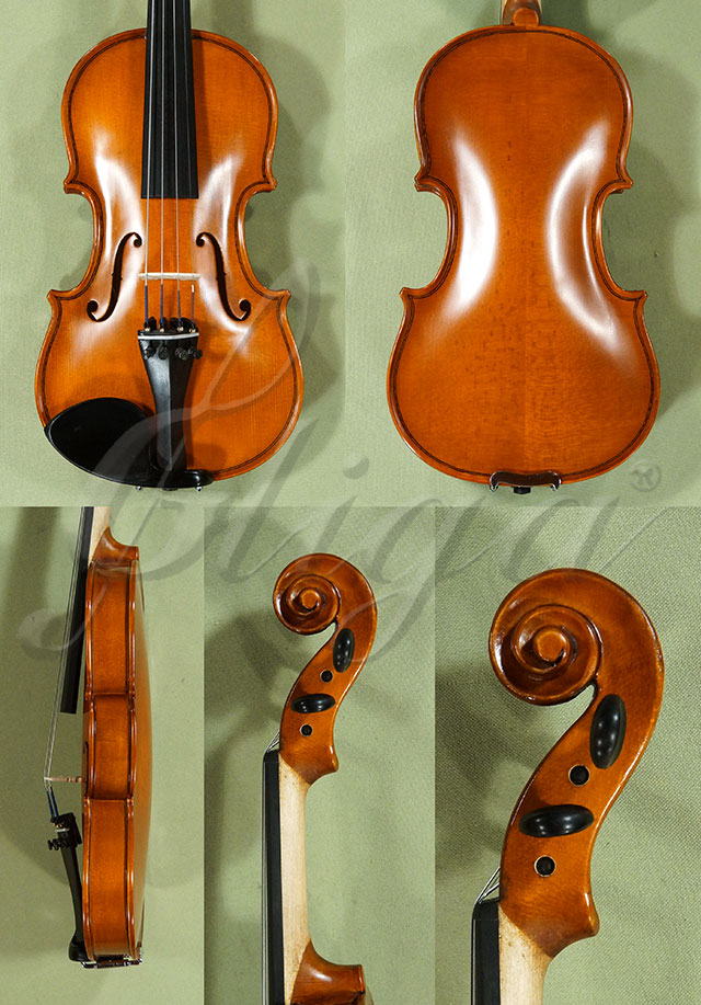 1/4 School GENIAL 1-Oil Violin  * Code: D0435
