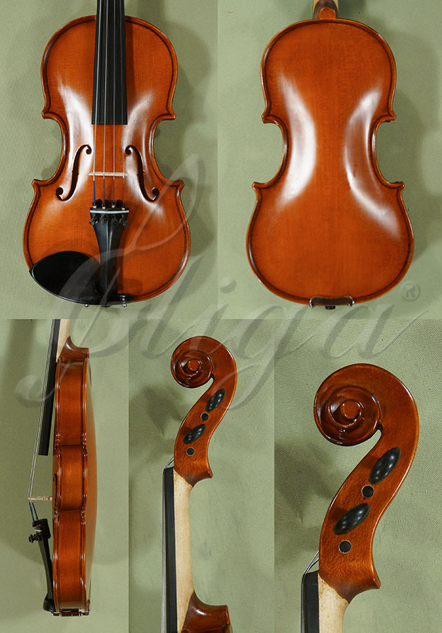 1/4 School GENIAL 1-Oil Violin  * Code: D0437