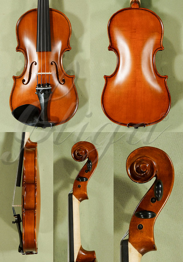 1/4 School GENIAL 1-Oil Violin  * Code: D0439