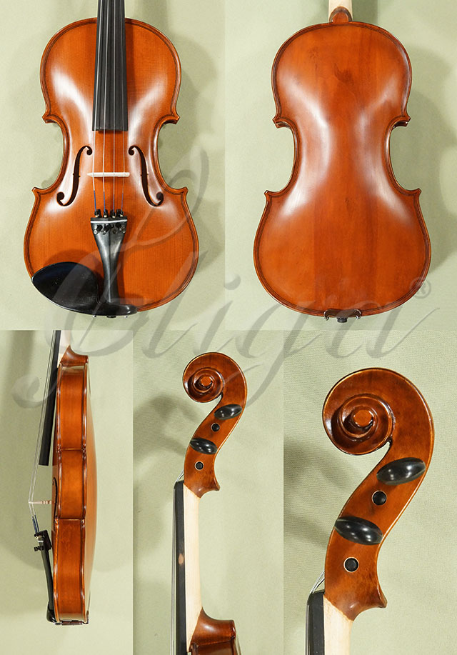 4/4 School GENIAL 1-Oil Poplar One Piece Back Violin  * Code: D0464