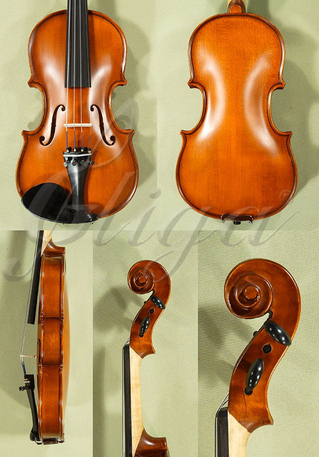1/4 School GENIAL 1-Oil Violin  * Code: D0470