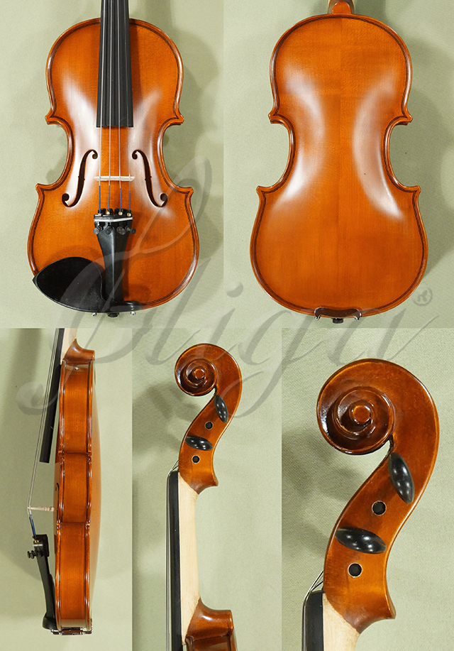 1/4 School GENIAL 1-Oil Violin  * Code: D0473