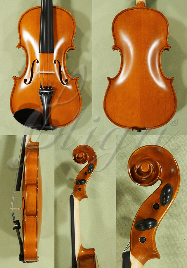 4/4 School GENIAL 1-Oil Violin * Code: D0476