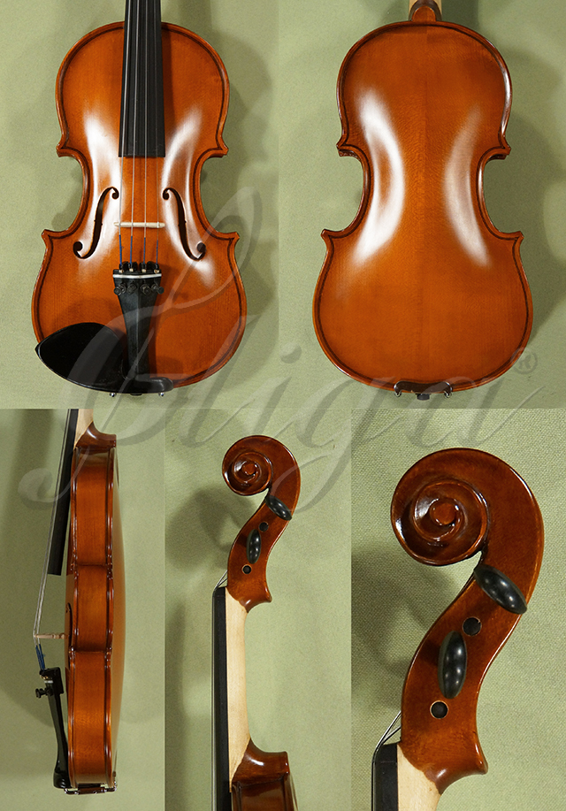 1/4 School GENIAL 1-Oil Violin  * Code: D0502