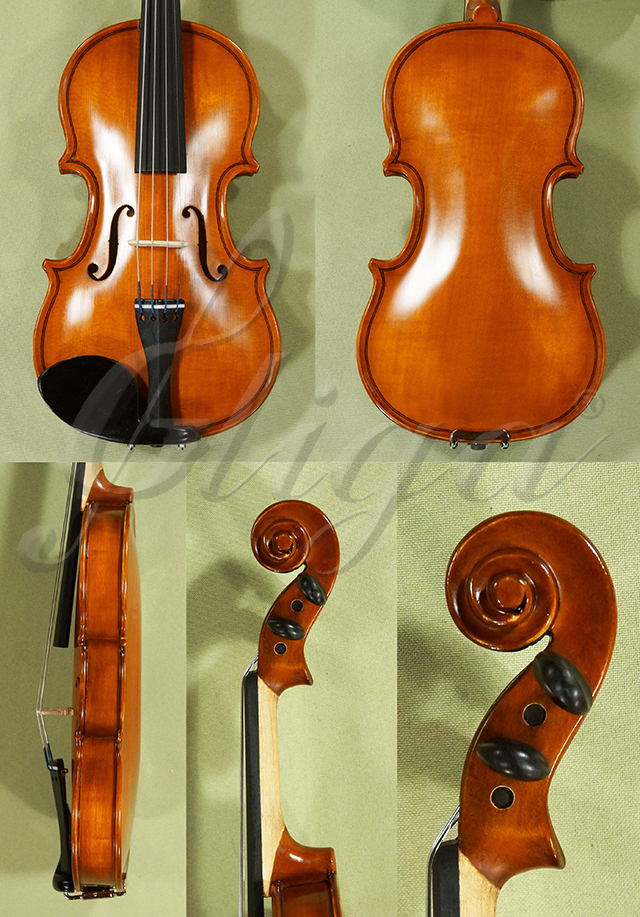 Antiqued 1/10 School GENIAL 1-Oil One Piece Back Violin  * Code: D0517