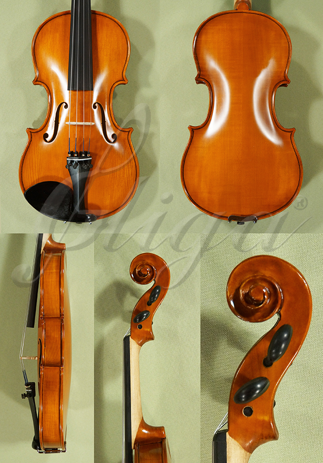 Antiqued 1/2 School GENIAL 1-Oil Violin  * Code: D0528