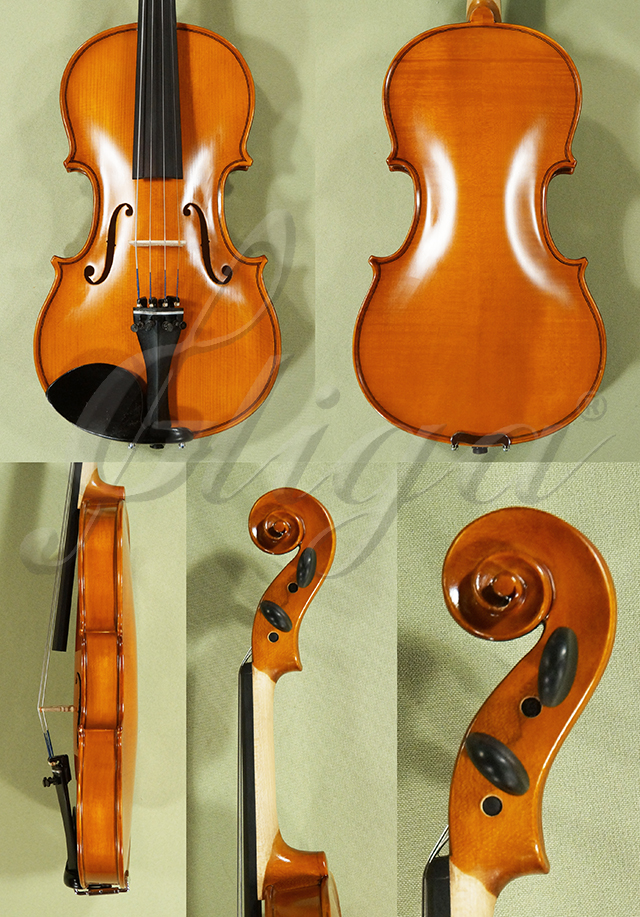 Antiqued 1/2 School GENIAL 1-Oil Violin  * Code: D0532