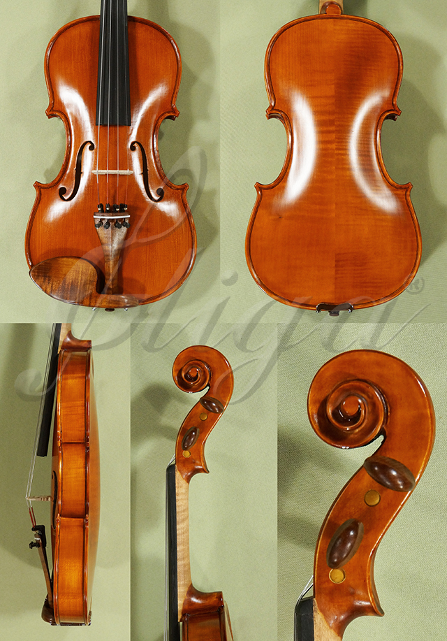 Antiqued 4/4 Student GLORIA 1 Violin  * Code: D0536