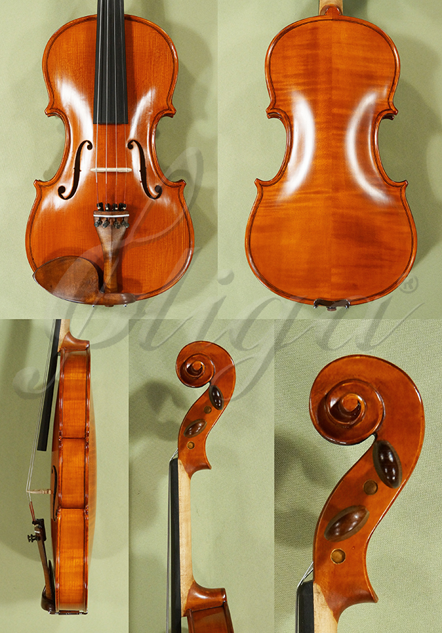 Antiqued 4/4 Student GLORIA 1 Violin  * Code: D0537