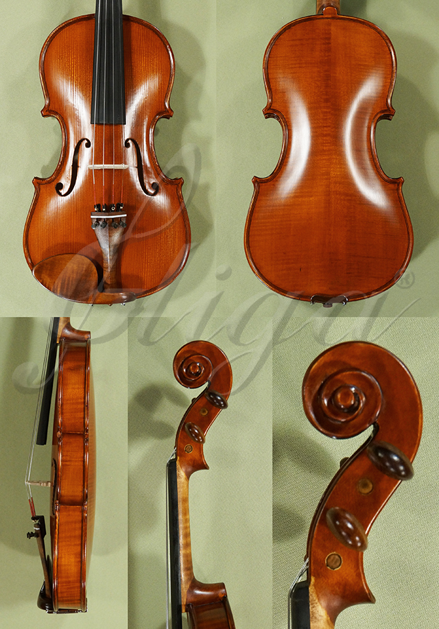 Antiqued 7/8 Student GLORIA 1 Violin  * Code: D0539