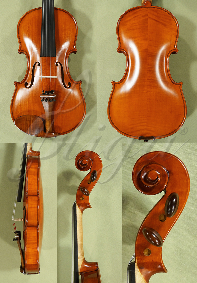 Antiqued 4/4 Student GLORIA 1 Violin  * Code: D0541