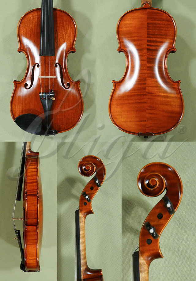 4/4 PROFESSIONAL GAMA Violin * Code: D0564