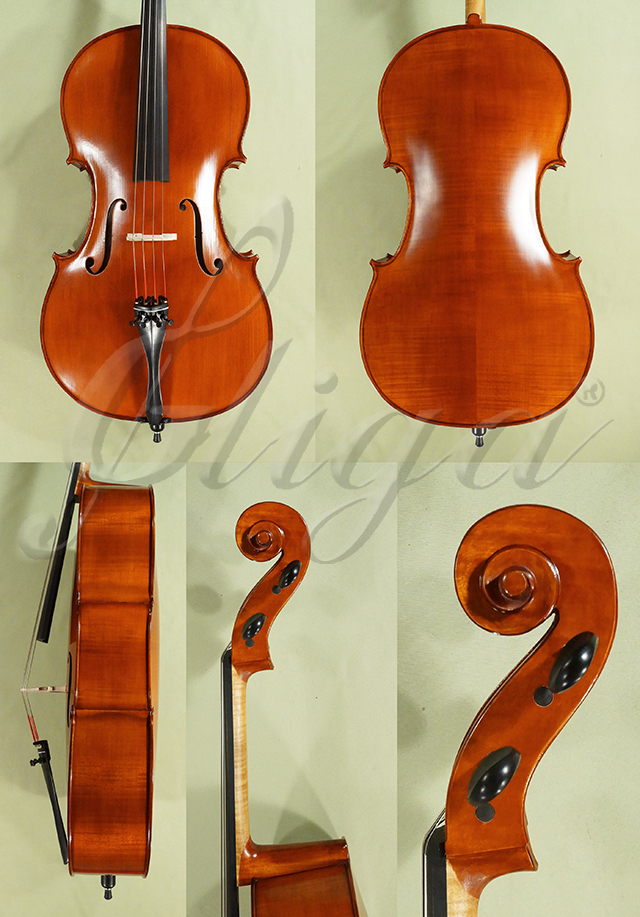 4/4 Student GEMS 2 Cello  * Code: D0575