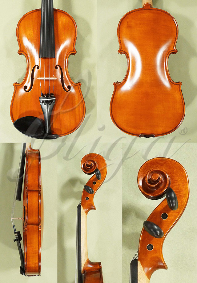 Antiqued 4/4 School GENIAL 1-Oil Violin  * Code: D0578