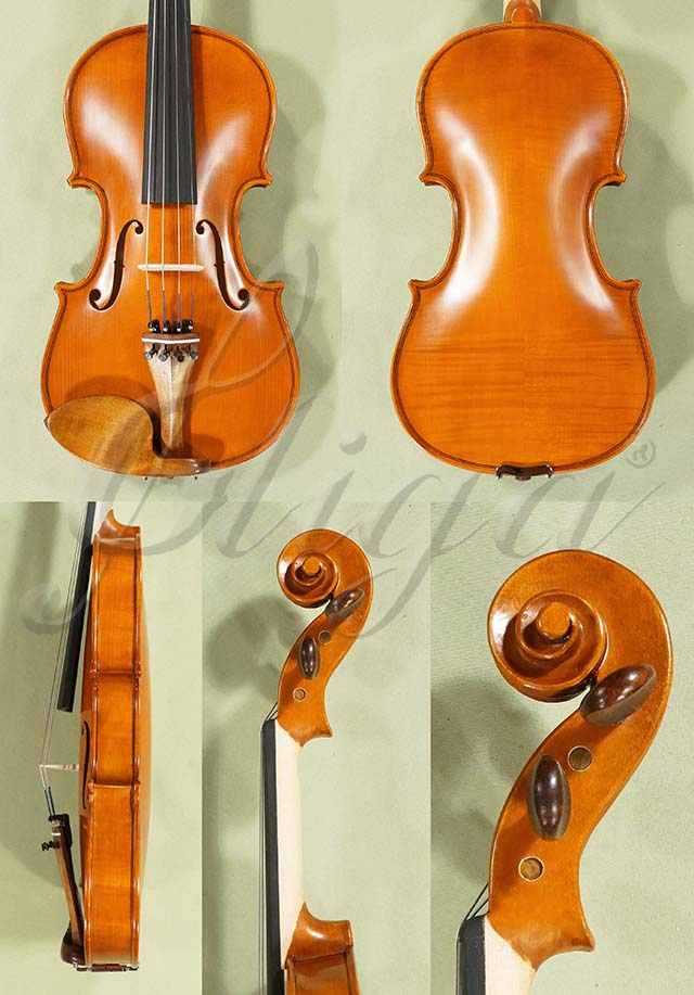 7/8 Student GLORIA 2 Violin  * Code: D0580