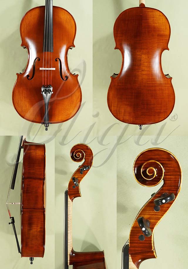 Antiqued 4/4 PROFESSIONAL GAMA Cello  * Code: D0584