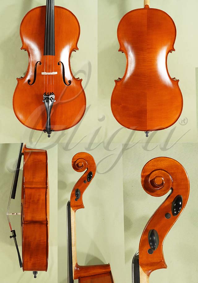 4/4 Student GEMS 2 Cello  * Code: D0586