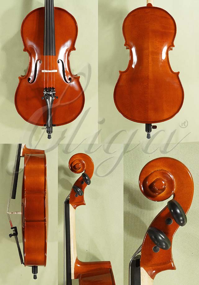1/8 School GENIAL 2-Nitro Cello  * Code: D0588