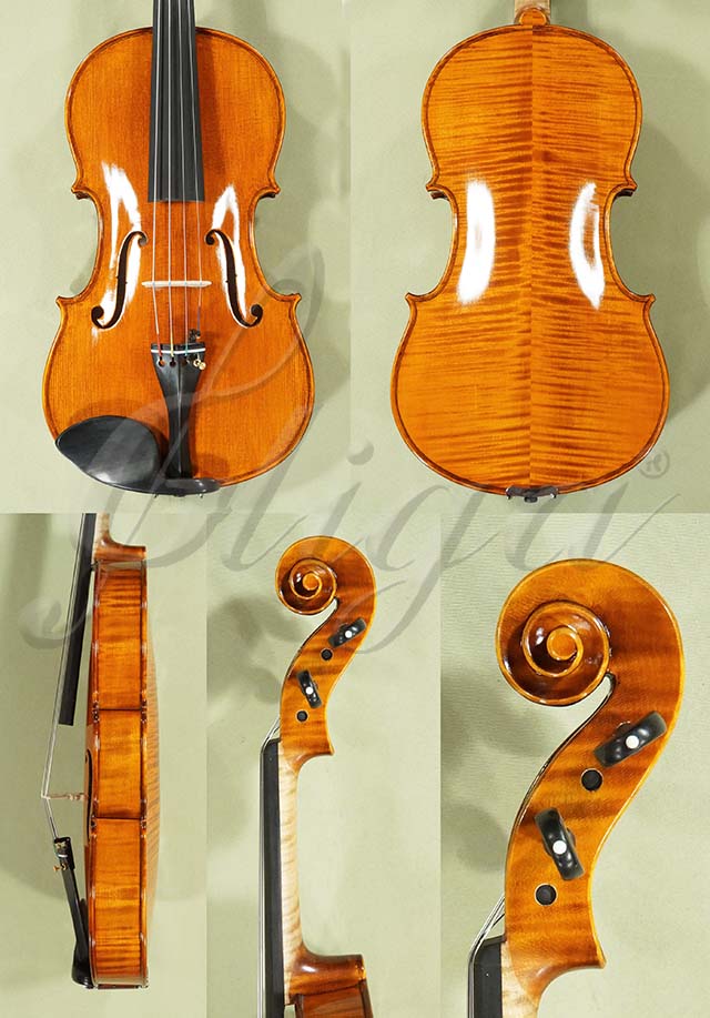 Shiny 16" PROFESSIONAL GAMA Viola * Code: D0605