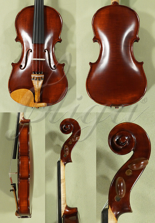 Antiqued 3/4 Student GLORIA 1 Violin  * Code: D0666