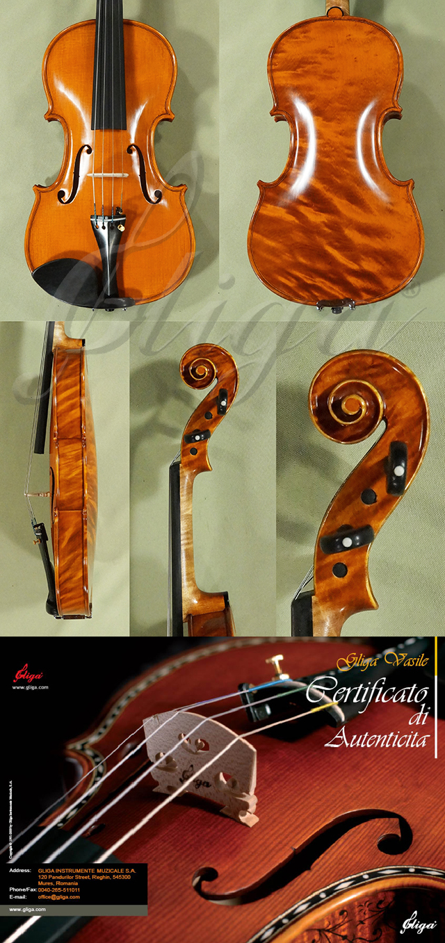 4/4 MAESTRO VASILE GLIGA Wild Maple One Piece Back Violin  * Code: D0765