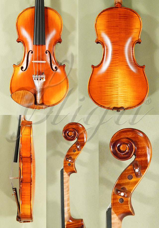 Antiqued 4/4 PROFESSIONAL GENOVA 2 Violin * Code: D0962