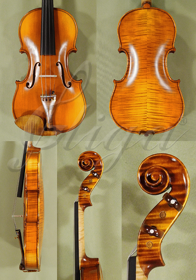 Antiqued 4/4 PROFESSIONAL GENOVA 2 Violin * Code: D0987