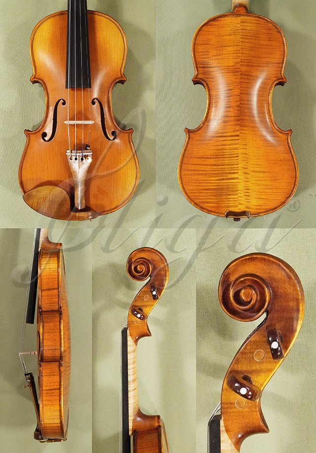 Antiqued 4/4 PROFESSIONAL GENOVA 2 Violin * Code: D0989