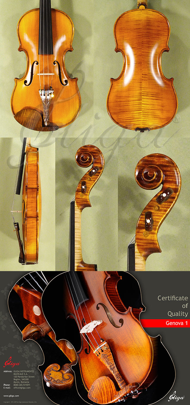 Antiqued 4/4 MASTER GENOVA 1 Violin * Code: D1287