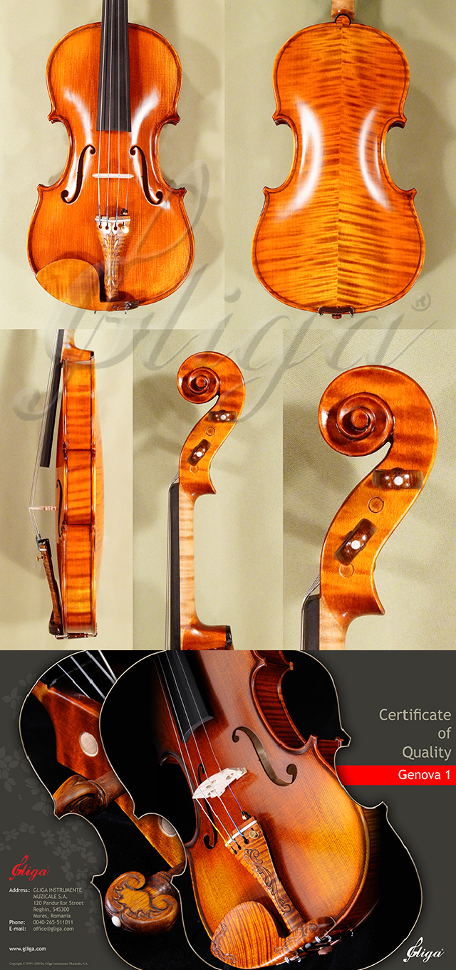 Antiqued 4/4 MASTER GENOVA 1 Violin * Code: D1334