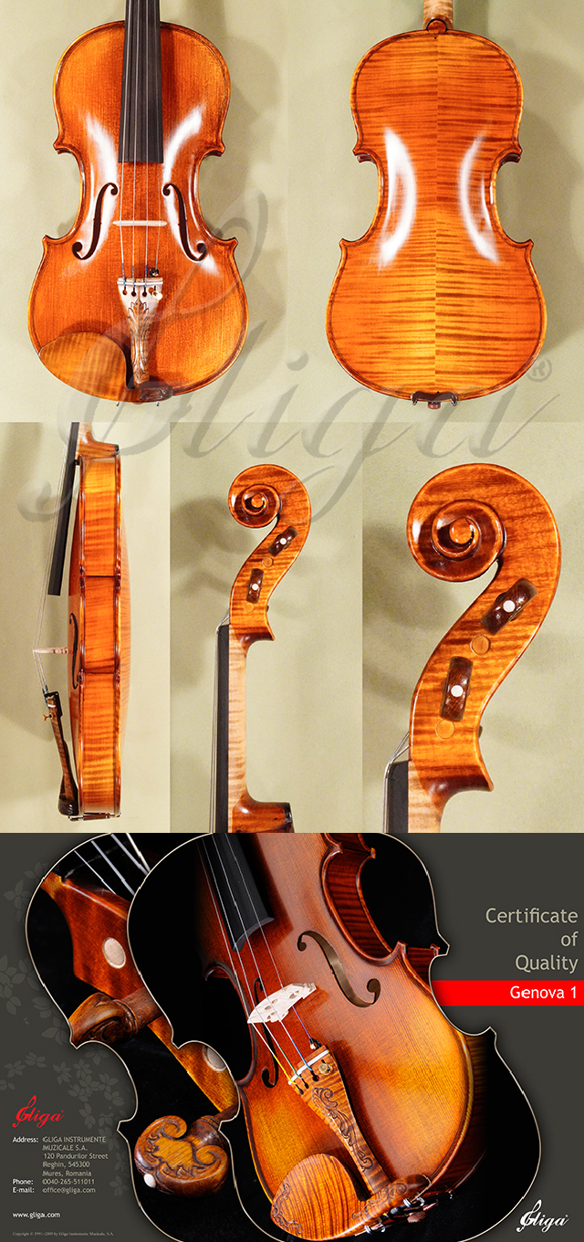 Antiqued 4/4 MASTER GENOVA 1 Violin * Code: D1336
