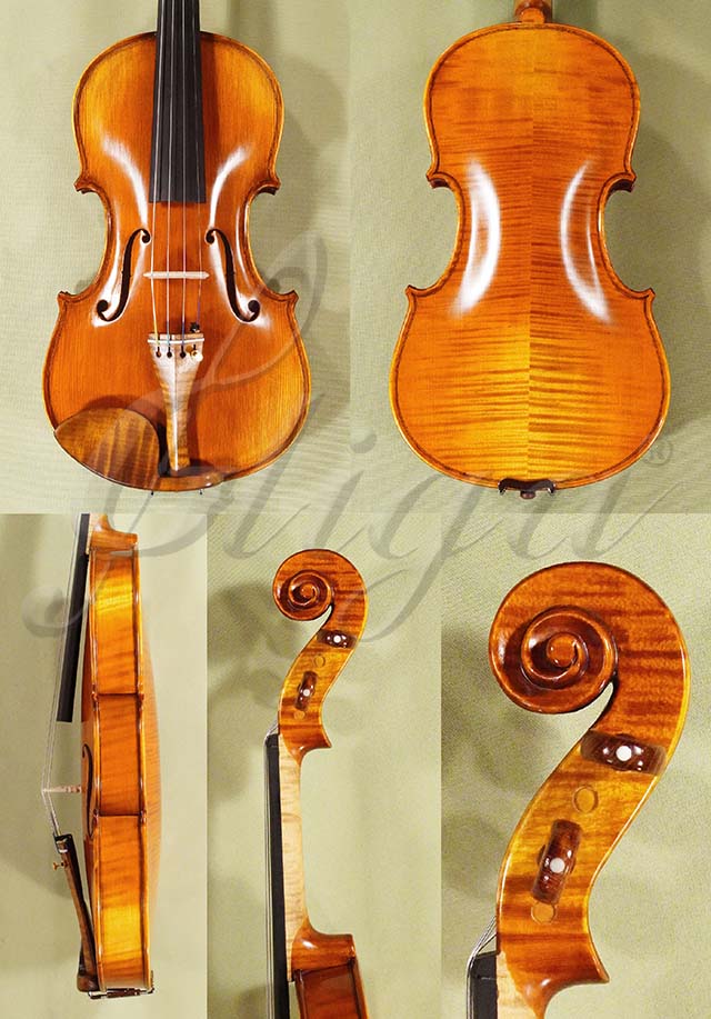 Antiqued 4/4 PROFESSIONAL GENOVA 2 Violin * Code: D1344