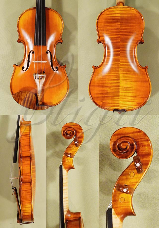 Antiqued 4/4 PROFESSIONAL GENOVA 2 Violin * Code: D1350