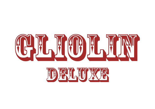 4/4 Gliga 'GLIOLIN Deluxe' Violins